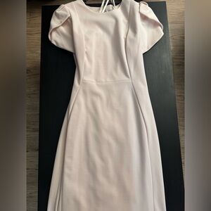 Calvin Klein Blossom Pink Dress